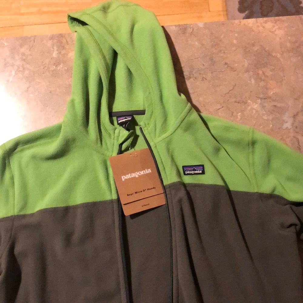 Patagonia Micro D Hoody